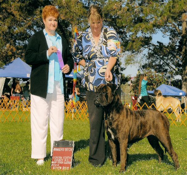 mossy oak bullmastiffs